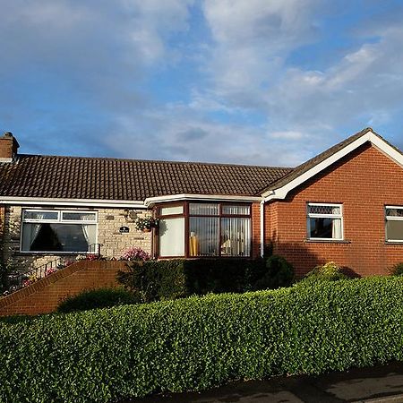 Number Nine Accommodation Downpatrick Exterior photo